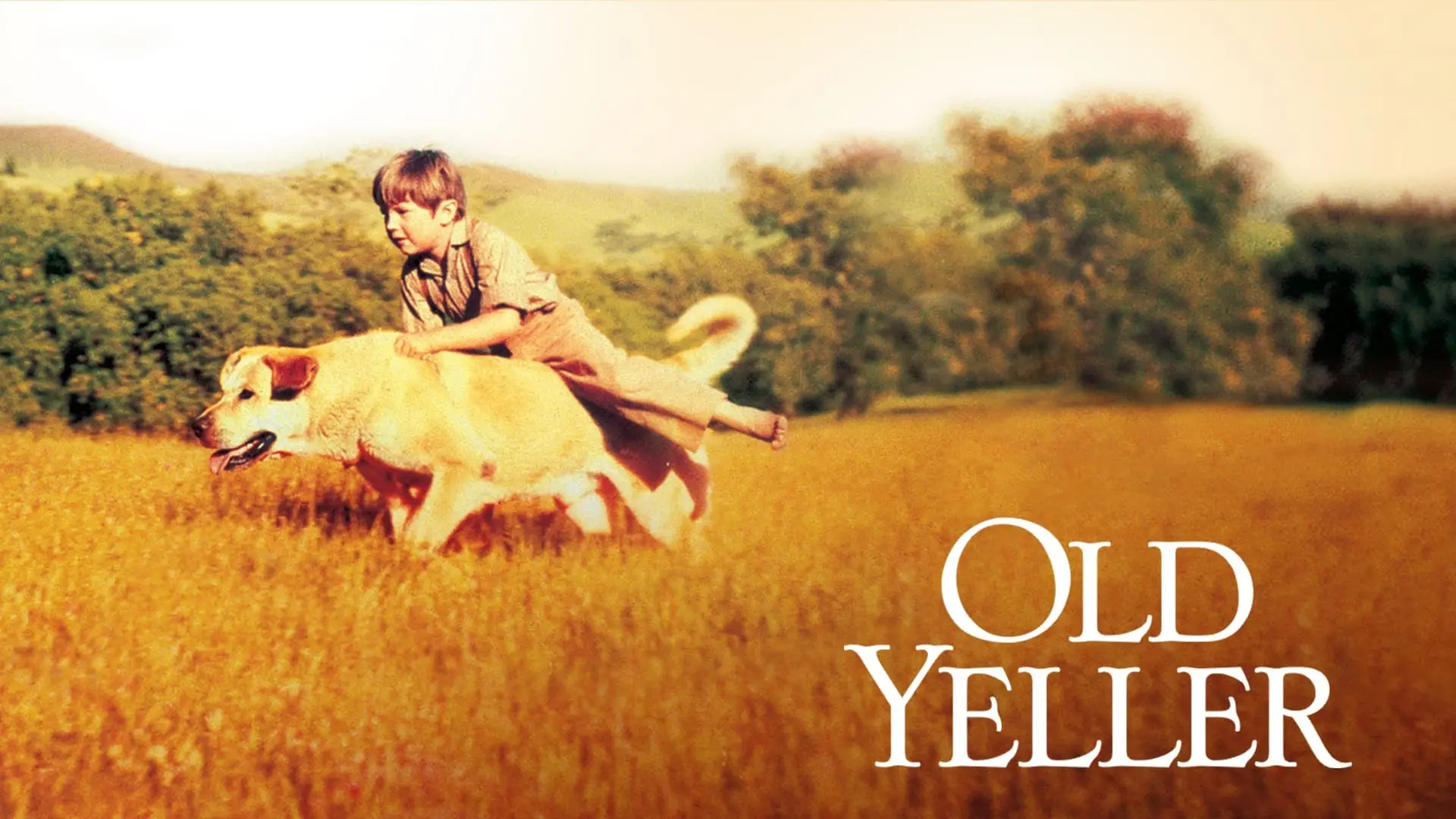 Video for the film Old Yeller — OLD YELLER 40th ANNIVERSARY MOVIE TRAILER [VHS] 1997