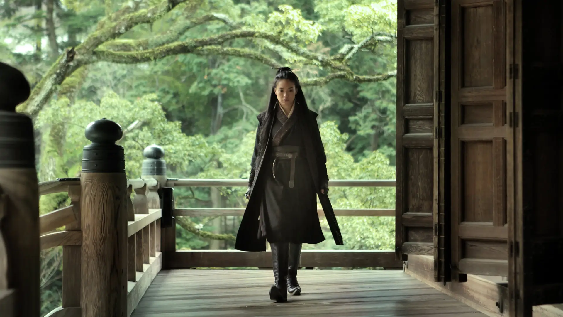 Video for the film The Assassin — Martial Arts Movies: The Assassin (2015) Clip 1- Well Go USA