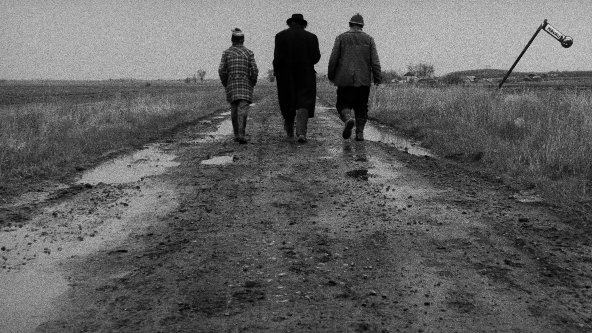 Video for the film Satantango — SÁTÁNTANGÓ Trailer [1994] 4K