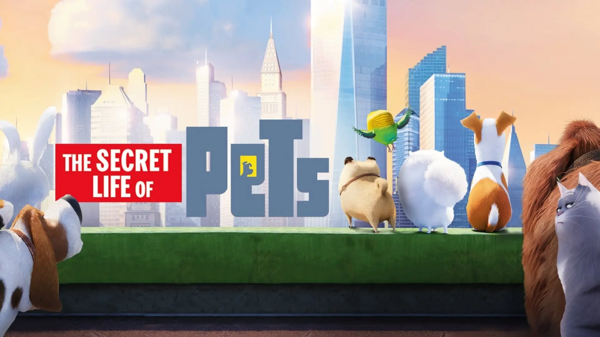 Video for the film The Secret Life of Pets — The Secret Life Of Pets - Trailer #3 (HD) - Illumination