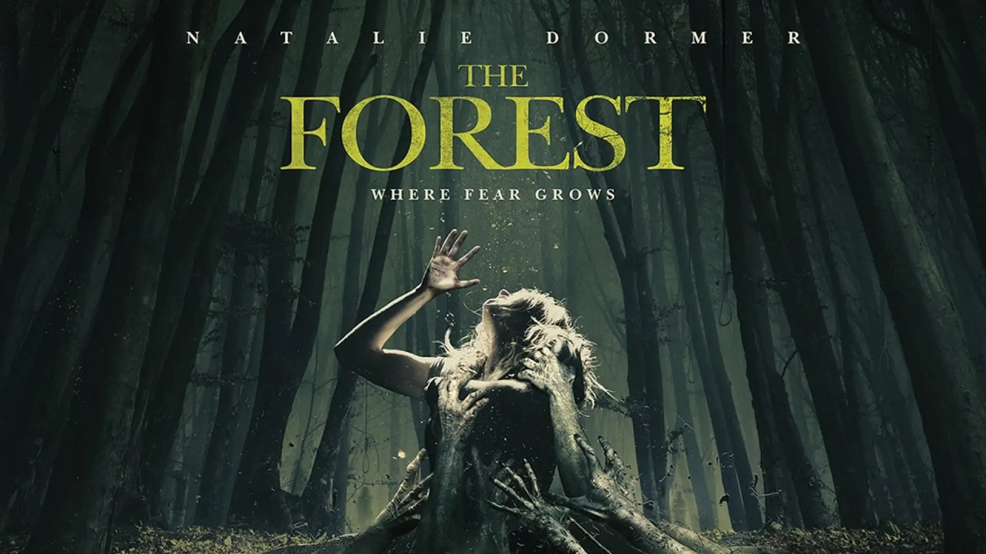 Video for the film The Forest — The Forest (2016) | Official Trailer