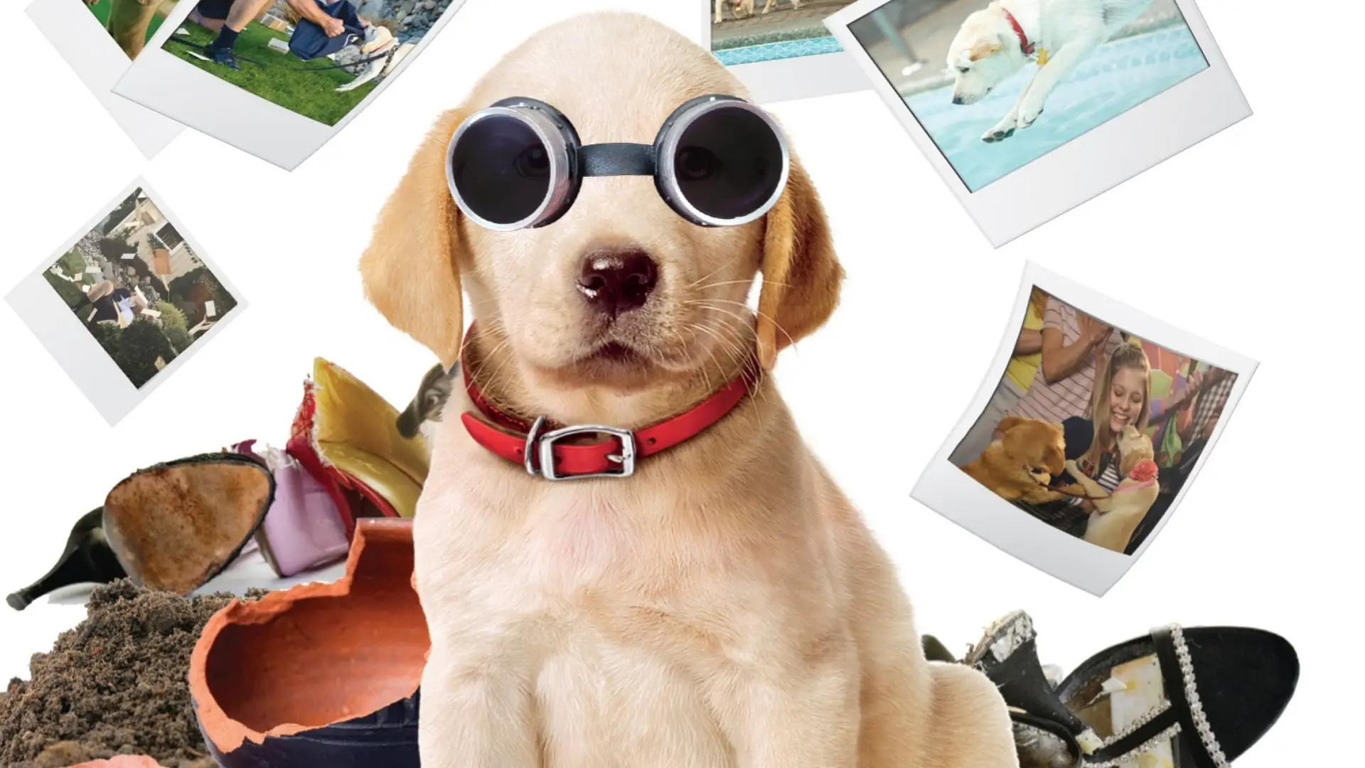 Video for the film Marley & Me: The Puppy Years — Марли и Я 2 - Trailer