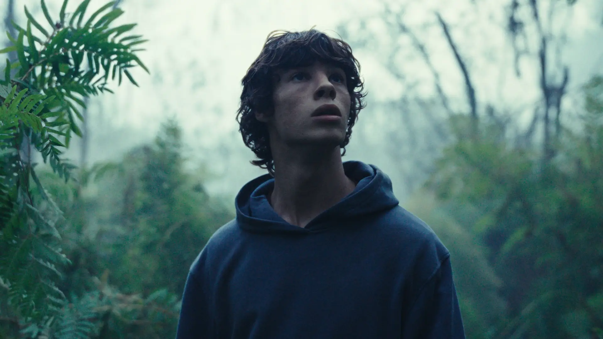 Video for the film The Animal Kingdom — Official International Trailer [Subtitled]