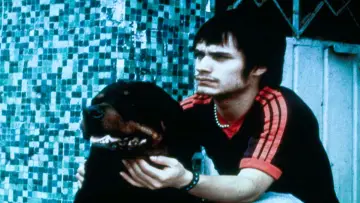 Backdrop to the movie "Amores Perros" #827745