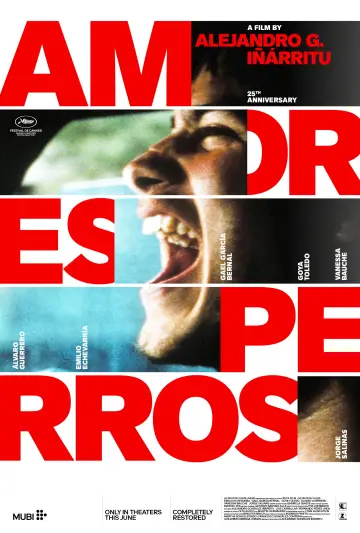 Poster to the movie "Amores Perros" #827788