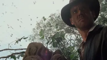 Backdrop to the movie "Indiana Jones and the Temple of Doom" #1179062