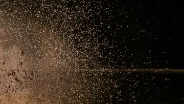 Backdrop to the movie "Star Wars" #546715