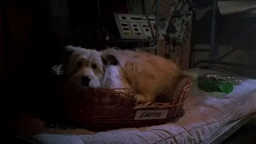 Backdrop to the movie "Back to the Future Part II" #647311