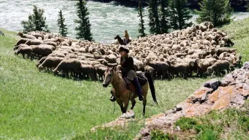 Backdrop to the movie "Brokeback Mountain" #186444