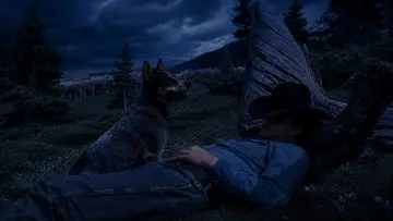 Backdrop to the movie "Brokeback Mountain" #913180
