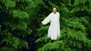 Backdrop to the movie "Crouching Tiger, Hidden Dragon" #1199041