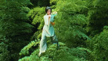 Backdrop to the movie "Crouching Tiger, Hidden Dragon" #1199042