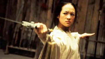 Backdrop to the movie "Crouching Tiger, Hidden Dragon" #217245