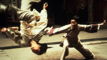 Backdrop to the movie "Crouching Tiger, Hidden Dragon" #838799