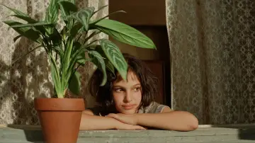 Backdrop to the movie "Léon: The Professional" #749586