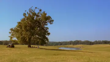 Backdrop to the movie "O Brother, Where Art Thou?" #810279