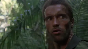Backdrop to the movie "Predator" #559774