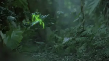 Backdrop to the movie "Predator" #559776