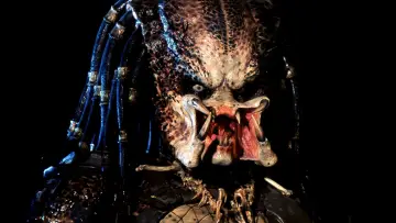 Backdrop to the movie "Predator" #559794