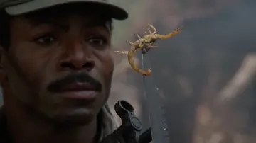 Backdrop to the movie "Predator" #559801