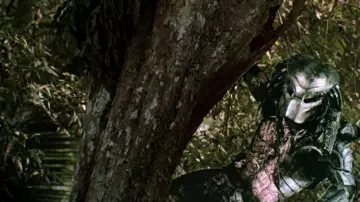 Backdrop to the movie "Predator" #559806