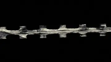 Backdrop to the movie "Sin City" #1216398