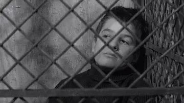 Backdrop to the movie "The 400 Blows" #179024