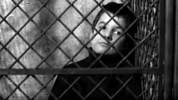 Backdrop to the movie "The 400 Blows" #677799