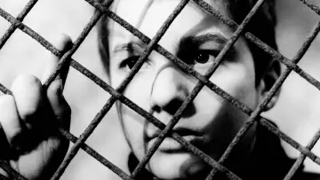 Backdrop to the movie "The 400 Blows" #677803