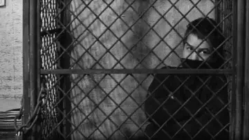 Backdrop to the movie "The 400 Blows" #677808