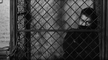 Backdrop to the movie "The 400 Blows" #677809