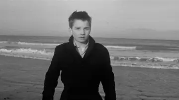 Backdrop to the movie "The 400 Blows" #950247