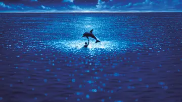 Backdrop to the movie "The Big Blue" #213792