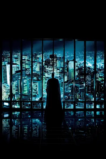 Poster to the movie "The Dark Knight" #827798