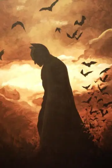 Poster to the movie "The Dark Knight" #909894