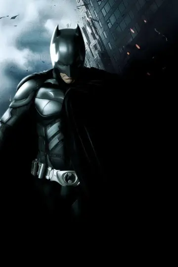 Poster to the movie "The Dark Knight" #909902