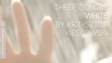 Backdrop to the movie "Three Colors: White" #705505