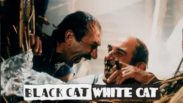 Backdrop to the movie "Black Cat, White Cat" #874054