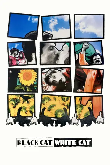 Poster to the movie "Black Cat, White Cat" #874061