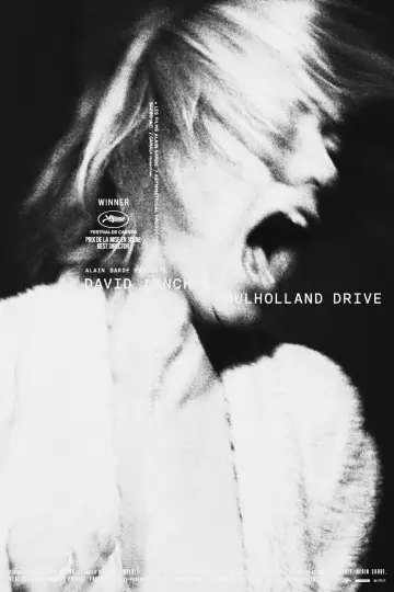 Poster to the movie "Mulholland Drive" #837040