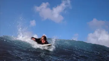 Backdrop to the movie "Point Break" #910251