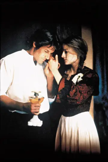 Poster to the movie "Sommersby" #648376