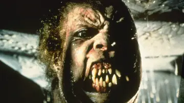 Backdrop to the movie "The Thing" #599876