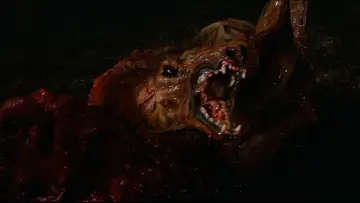 Backdrop to the movie "The Thing" #834979