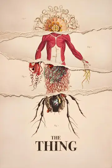 Poster to the movie "The Thing" #834994