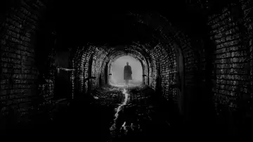 Backdrop to the movie "The Third Man" #181811
