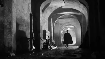Backdrop to the movie "The Third Man" #699947