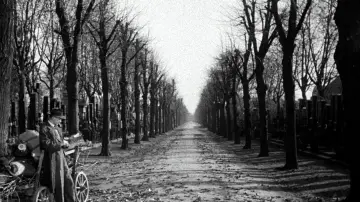 Backdrop to the movie "The Third Man" #699988