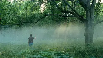 Backdrop to the movie "Sunshine" #458391