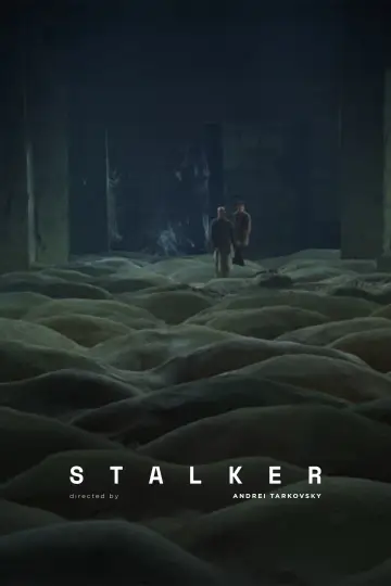 Poster to the movie "Stalker" #176912